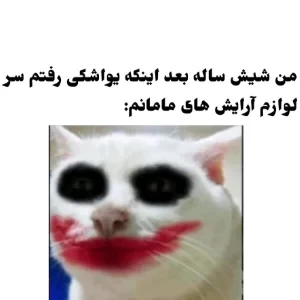 عکس میم‌هایی براساس واقعیت