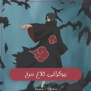 عکس دفترچه جزیره شناور