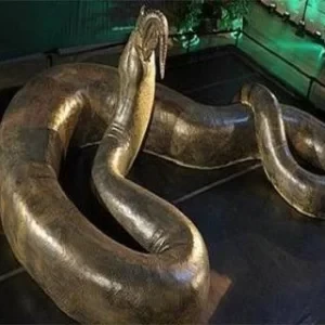 عکس بزرگترین مار جهان