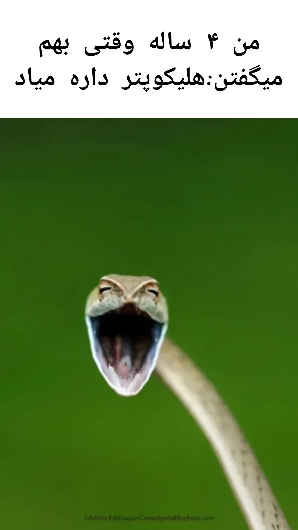 عکس