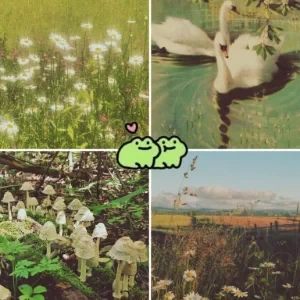 تکه ای از روح:جملاتی که با قلبمان نمینویسیم،بلکه زندگی می‌کنیم.
