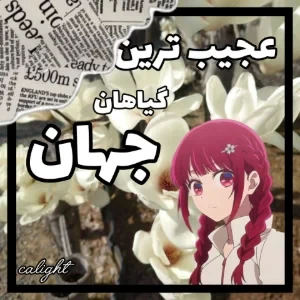 عکس عجیب ترین و نایاب ترین گل های دنیا