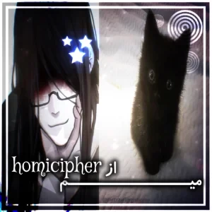 عکس میم از homicipher
