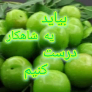 عکس یه شاهکار درست کن🫒🤤