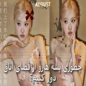 عکس چطوری پشه هارو از فضای اتاق دور کنیم؟