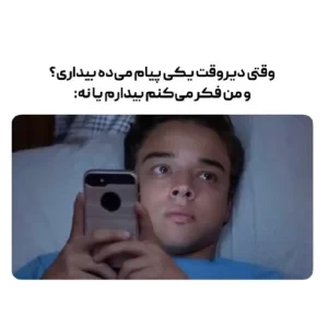 عکس میم؟ ¹