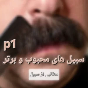 عکس دوازده مدل سبیل برتر:(مطالبی راجب سبیل)