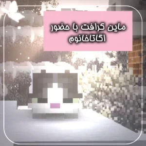عکس ماینکرفت دونفره با کاربر اگاتا