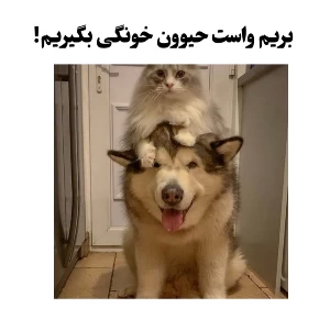 عکس بریم واست حیوون خونگی بگیریم!