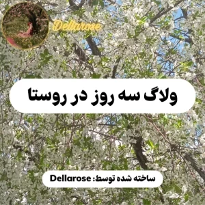 عکس ولاگ سه روز در روستا