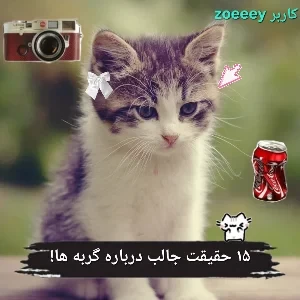 عکس ۱۵ حقیقت جالب درباره گربه ها