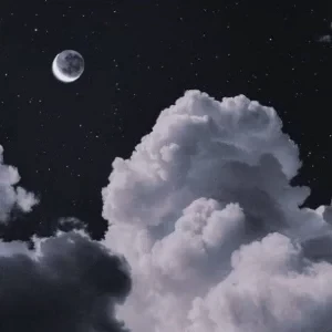 عکس زندگی