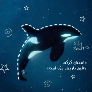 عکس نهنگ قاتل واقعا قاتله؟
