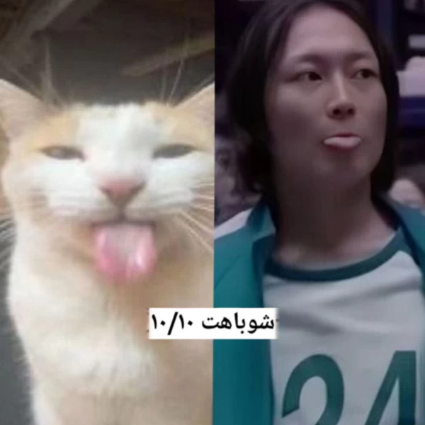عکس