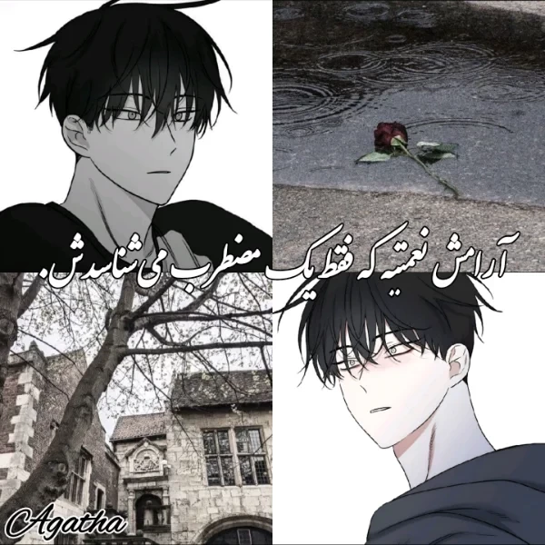 عکس