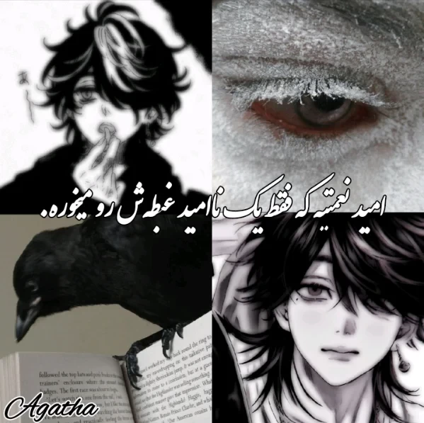 عکس