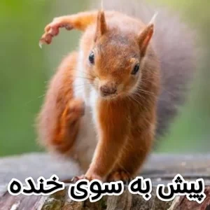 عکس میم ـ توییت ۲