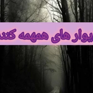 عکس دیوار های همهمه کننده!