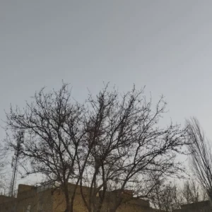 عکس تصاویری که خودم گرفتم ۲