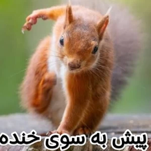 عکس میم - توییت ۴