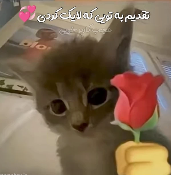 عکس