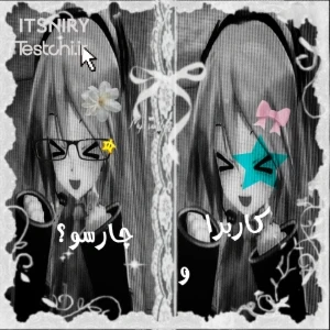 عکس 𖦹︎:کاربرا و چارسو؟