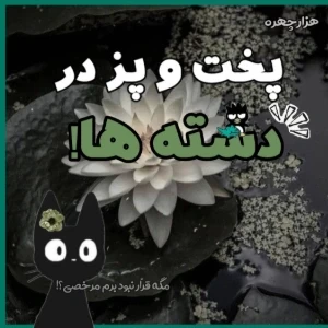 عکس پخت‌وپزدرهردسته؟