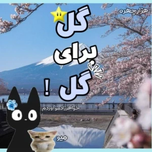 عکس گل‌برای‌گل!