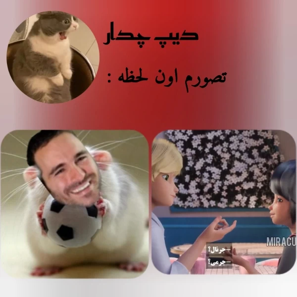 عکس