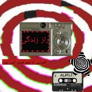 راز زندگی (سوکوکو ورژن)