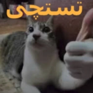 تستچی. (میم)