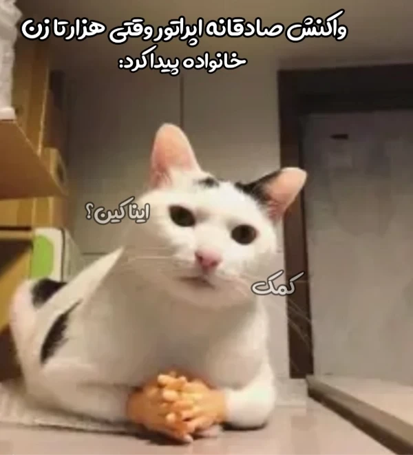 عکس