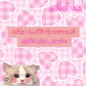 عکس به یه ناظر چی میگذره؟