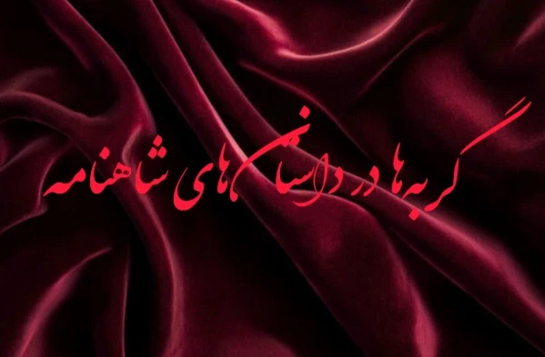 عکس
