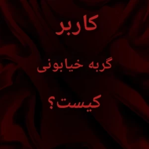 عکس کاربر گربه خیابونی کیست؟