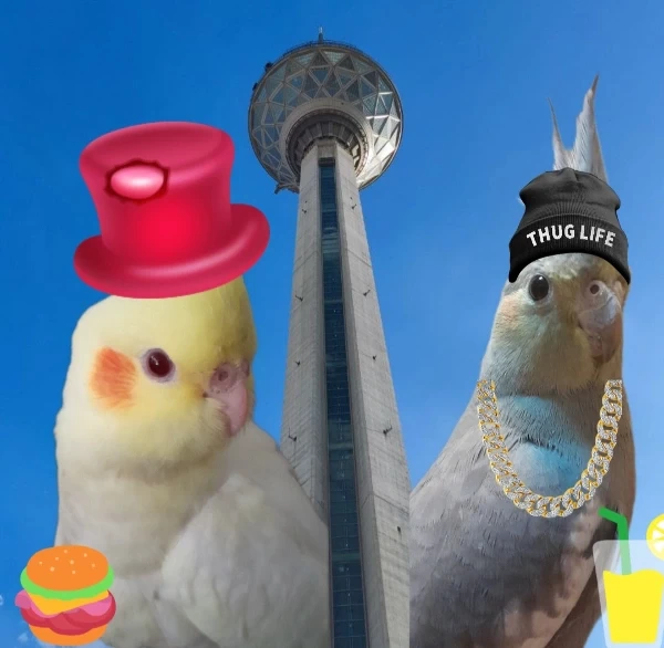 عکس