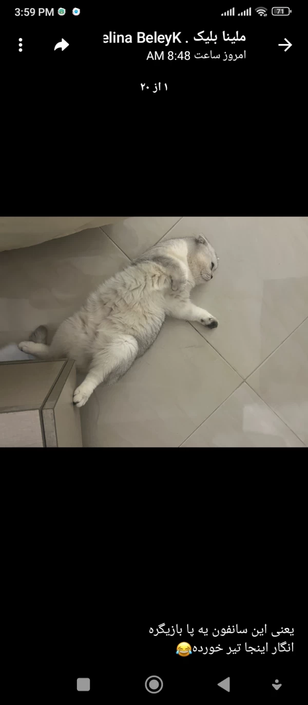 عکس