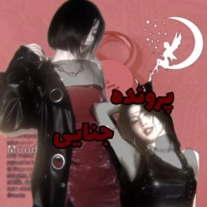 عکس پرونده جنایی