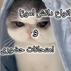 عکس انواع دانش اموزا و امتحانات حضوری(فان)