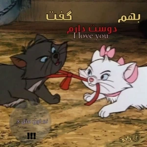 عکس}