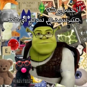 عکس از چیزی که میترسیدم سرم اومد