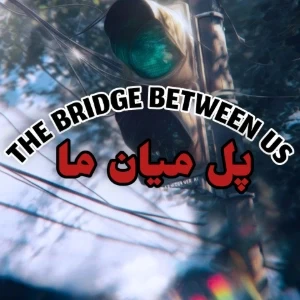تست پل میان ما(پارت ۲)