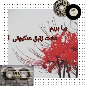 عکس بیا بریم دشت زنبق عنکبوتی!