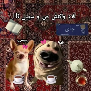 کاور