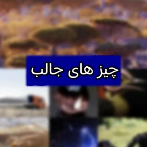 عکس چیز های جالب ۱