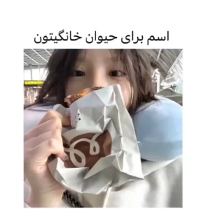 عکس ایده برای اسم حیوان خونگی هاتون