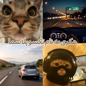 عکس فرمانده خاموش رفتار ها