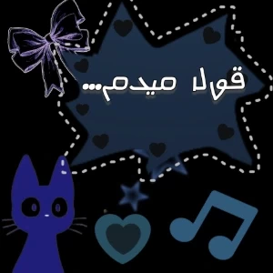 قول میدم!