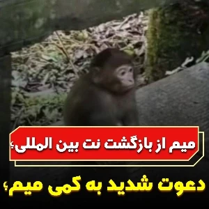 عکس}