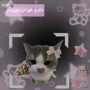 عکس یکی منو بزنه... ببینم خوابم یا بیدار؟!